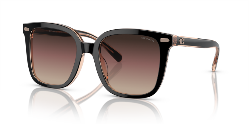 COACH HC8381F