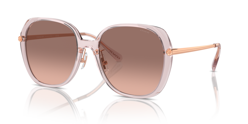 COACH HC8403D