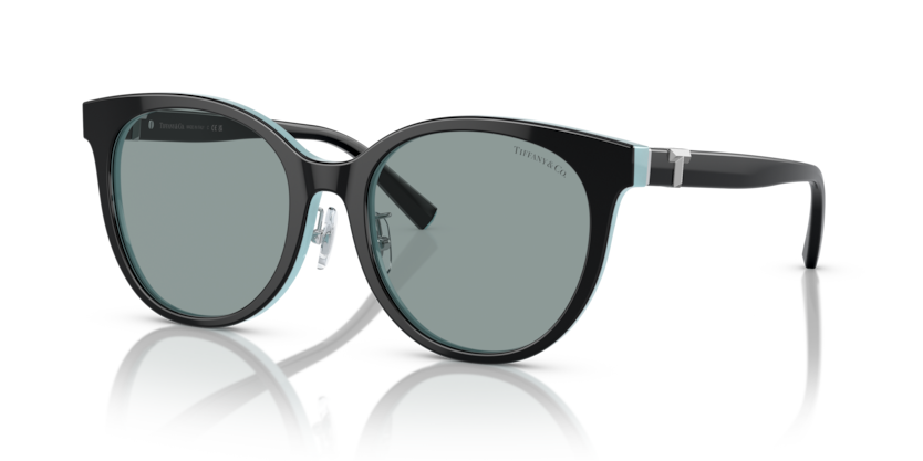 TIFFANY & CO TF4209D