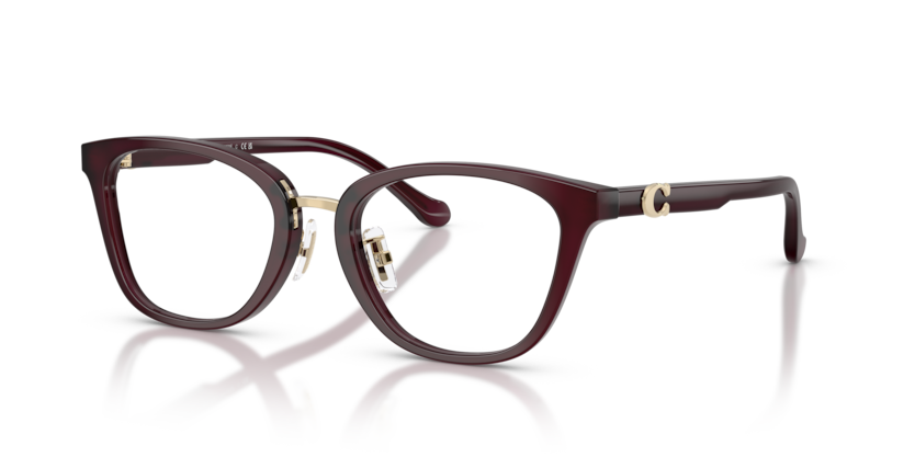 COACH HC6272F