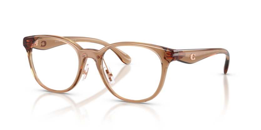 COACH HC6294D