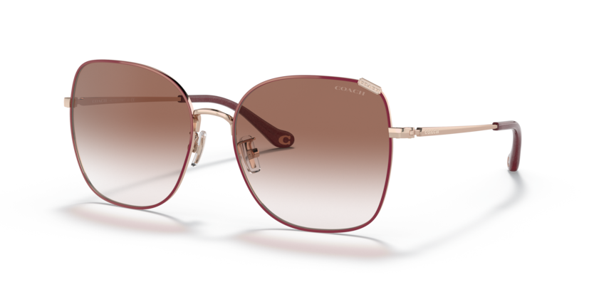 COACH HC7133