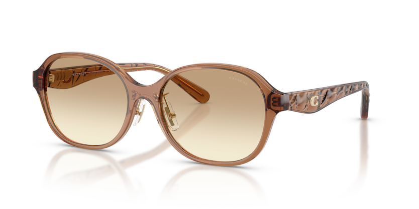 COACH HC8445D