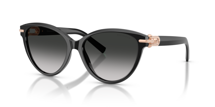 TIFFANY & CO TF4261F